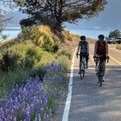 User avatar for Susan Whitsitt