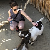 User avatar for Rachel Morin