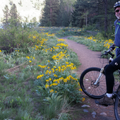 User avatar for David Rudholm