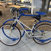 User avatar for Natalie Tse