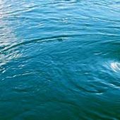 User avatar for Craig Britt