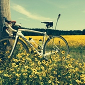 User avatar for Brendan White