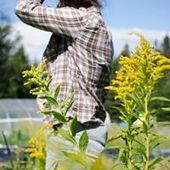 User avatar for Claude Claude