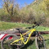 User avatar for Beau Burley