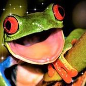 User avatar for Justene Merriman