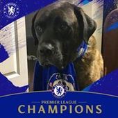 User avatar for Green Green