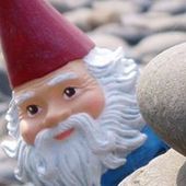 User avatar for Jackie Edleman