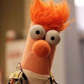 User avatar for Kirsten Wild