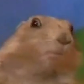 User avatar for Shawn Pike