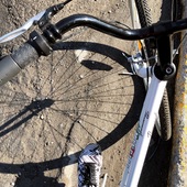 User avatar for Jessica Bertrand Auclair