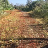 User avatar for Echo Zeng