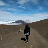 User avatar for Diana Holland