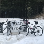 User avatar for Matt Keller