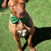 User avatar for Todd Hudson