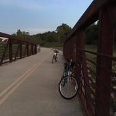 User avatar for Ronda Wright