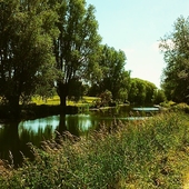 User avatar for Rebecca Brodie