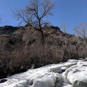 User avatar for Amy Ellis