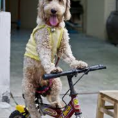 User avatar for Chris Keech