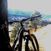 User avatar for Ty Mattinson