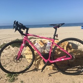 User avatar for Diane Pappas