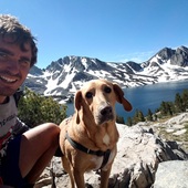 User avatar for David Whitfield