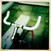 User avatar for Benedetta Frida Baldi