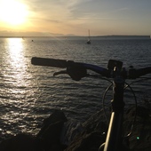 User avatar for Hillary Scannell