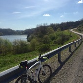 User avatar for Dos Ruedas