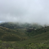 User avatar for Andy Friesen