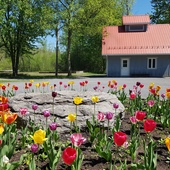 User avatar for Harneet Aujla