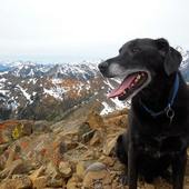 User avatar for Viktoria Stepitova