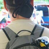 User avatar for Yves Deveault