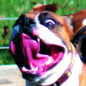 User avatar for Jim Miller