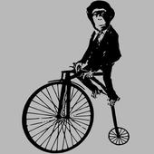 User avatar for David G