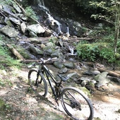 User avatar for Robin Allen