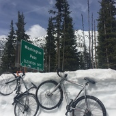 User avatar for Betsy Chappelle