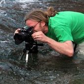 User avatar for Daniel Nelson