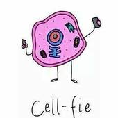 User avatar for Craig Stilen