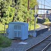 User avatar for Dr Thomas Haney, DD