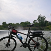 User avatar for Yangtao Liu