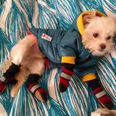 User avatar for Rebecca Szper