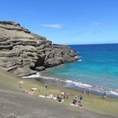 User avatar for Cynthia Scholp