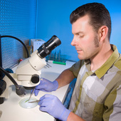 User avatar for Remi Bonnart