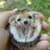 User avatar for Jesse Dunn