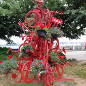 User avatar for Annette Taylor