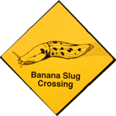 User avatar for Katie Glattfelder