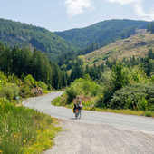 User avatar for Melinda Minch