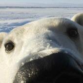 User avatar for Eric Baker