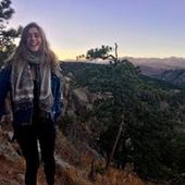 User avatar for Lauren Hamilton