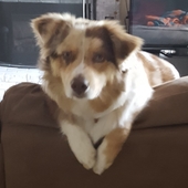 User avatar for Ryan Malerk